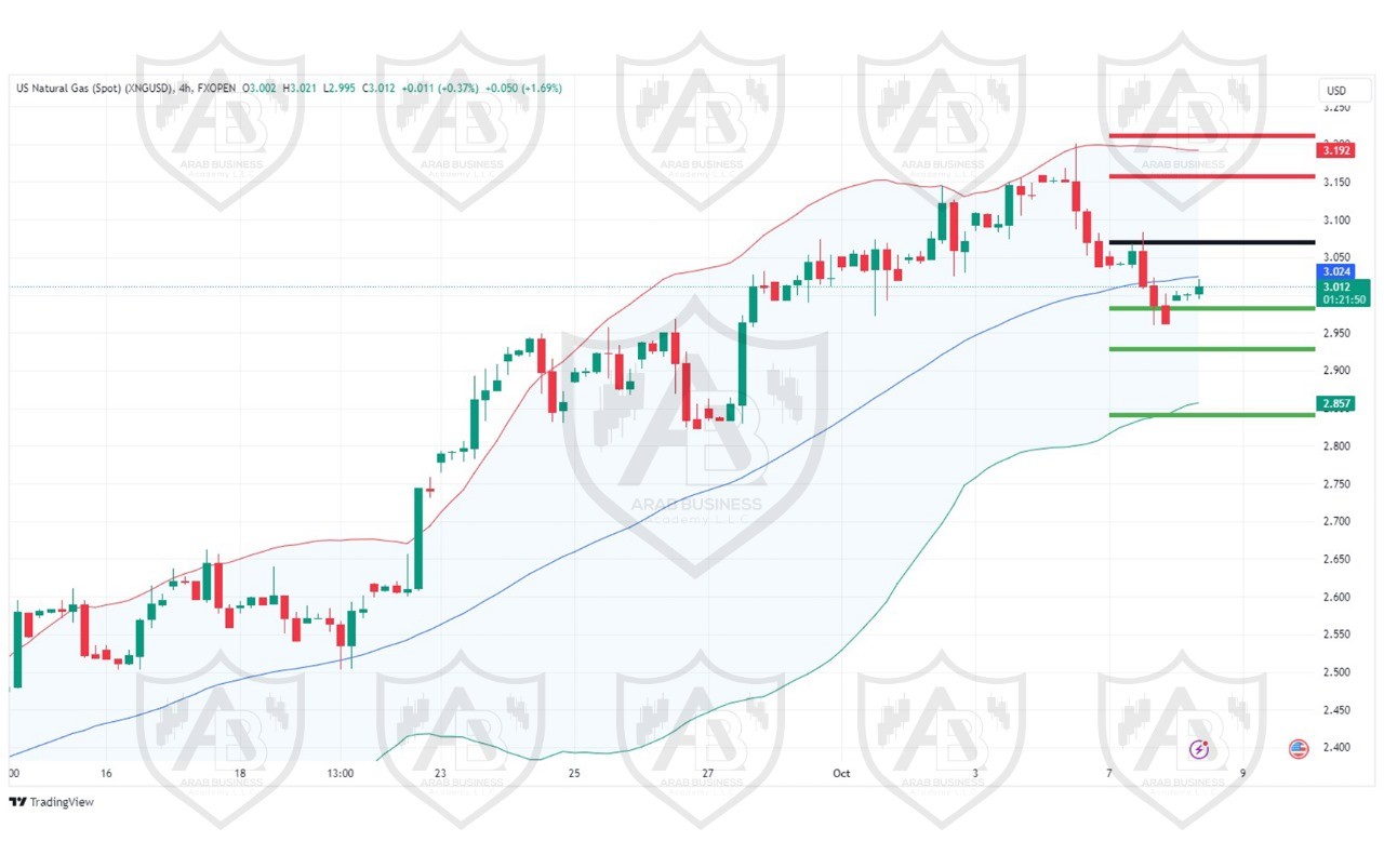 تحليل الغاز الطبيعي ليوم الثلاثاء  لموافق 8-10-2024