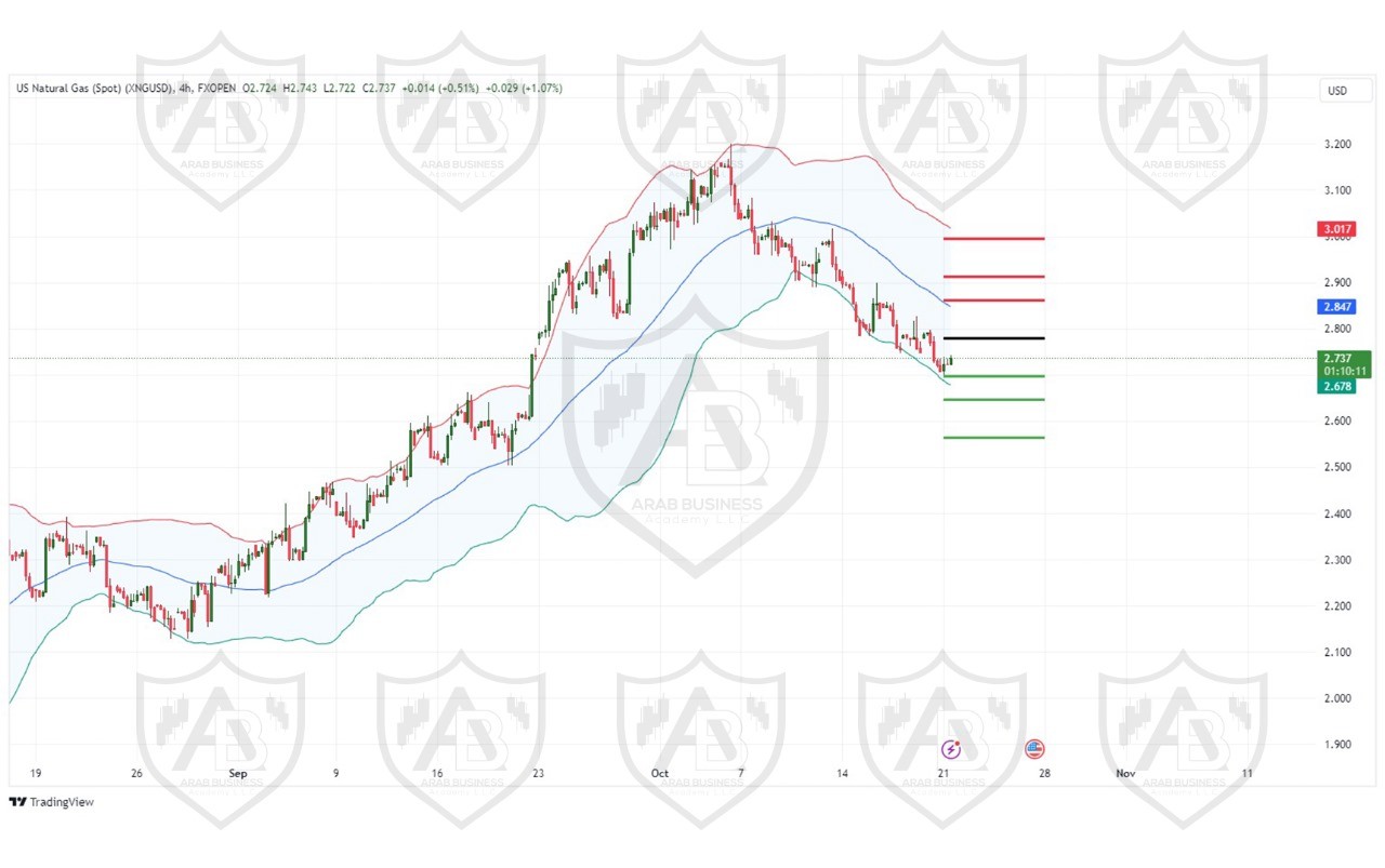 تحليل الغاز الطبيعي ليوم الاثنين لموافق 21-10-2024