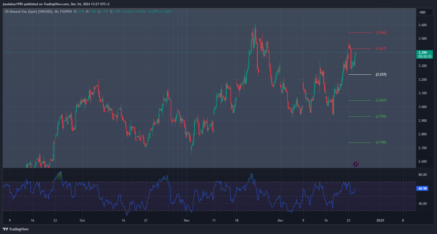 تحليل الغاز الطبيعي ليوم الثلاثاء 24 - 12 - 2024