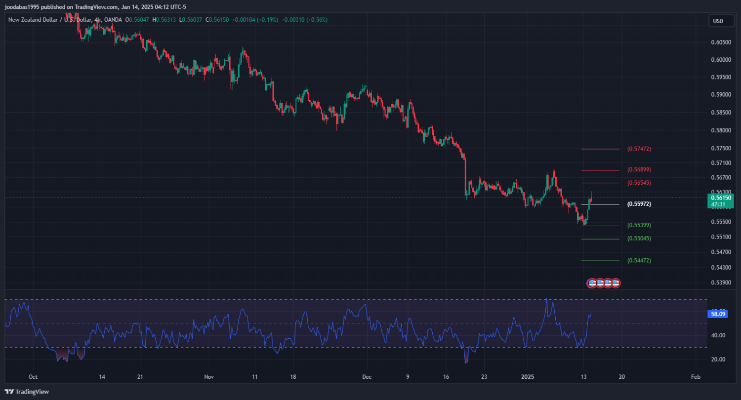 تحليل NZDUSD دولار ليوم الثلاثاء 14-1-2025