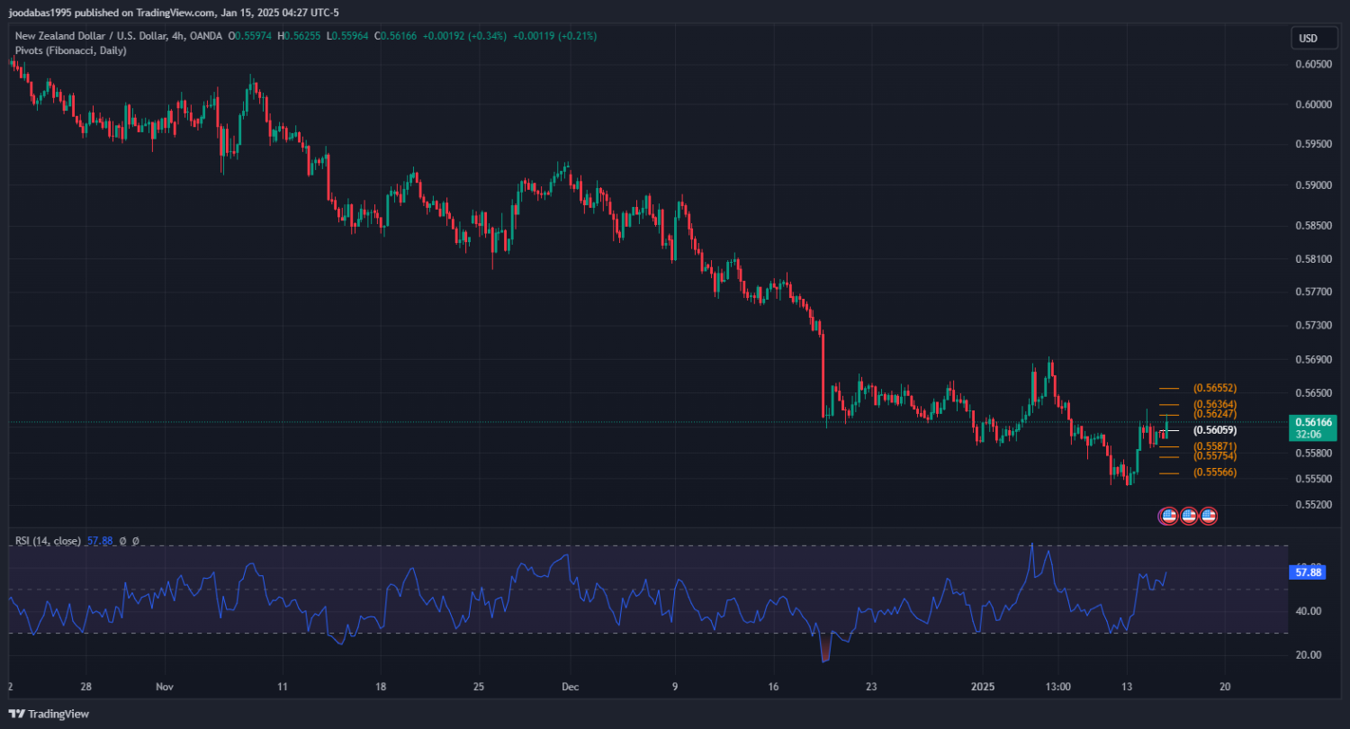 تحليل NZDUSD دولار ليوم الاربعاء 15-1-2025